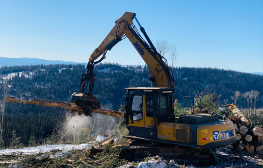 Felling machine in Canada
